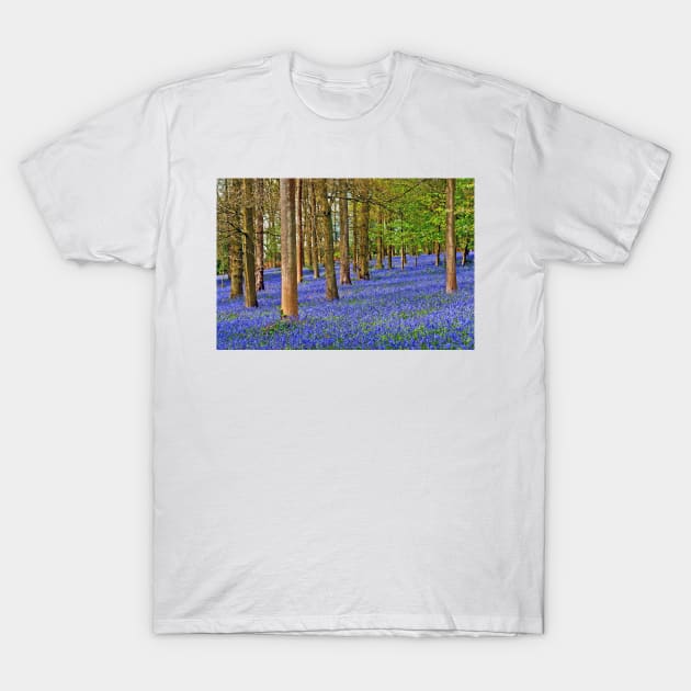 Bluebell Woods Greys Court Oxfordshire England UK T-Shirt by Andy Evans Photos